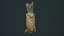 Pirate bow quiver arrow