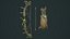 Pirate bow quiver arrow