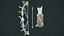Pirate bow quiver arrow