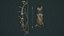 Pirate bow quiver arrow