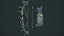 Pirate bow quiver arrow