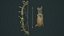 Pirate bow quiver arrow