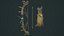 Pirate bow quiver arrow