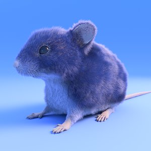Mouse - grey brown white fur - Xgen - realistic style - rigged