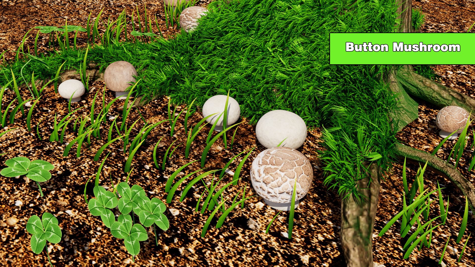 Button Mushroom 3D https://p.turbosquid.com/ts-thumb/9s/478mlQ/cT/buttonmushroom_01/jpg/1784596138/1920x1080/fit_q87/9f82c2c3b2bb0c4fa1a243657236cf43d55296de/buttonmushroom_01.jpg