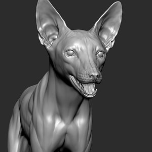 Fox 3D model