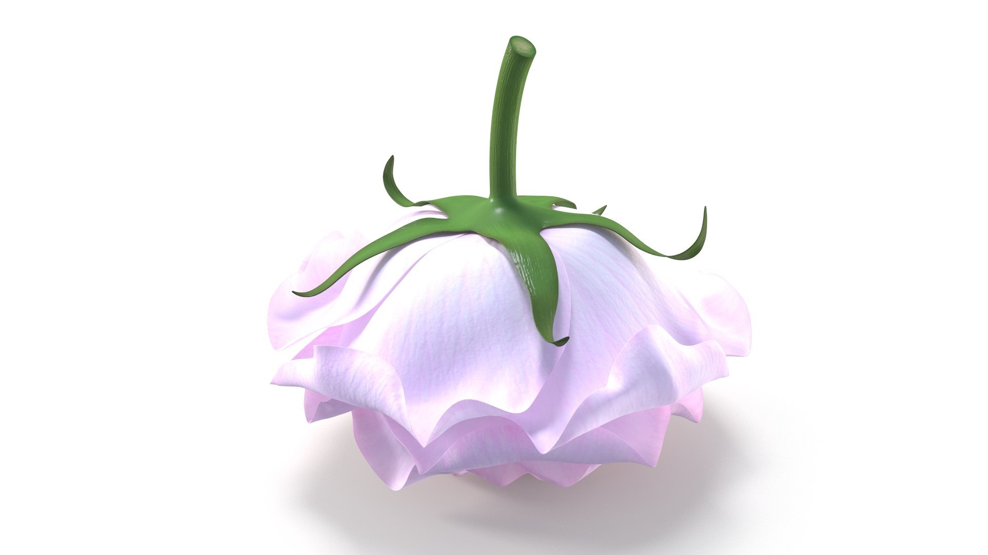 Realistic Rose and Petals 3D Models - High-Quality 4K PBR Asset 3D model https://p.turbosquid.com/ts-thumb/9s/ICcG21/Cv/51/jpg/1755628784/1920x1080/fit_q87/cc517f110601510a1880096b884297bb3af02e36/51.jpg