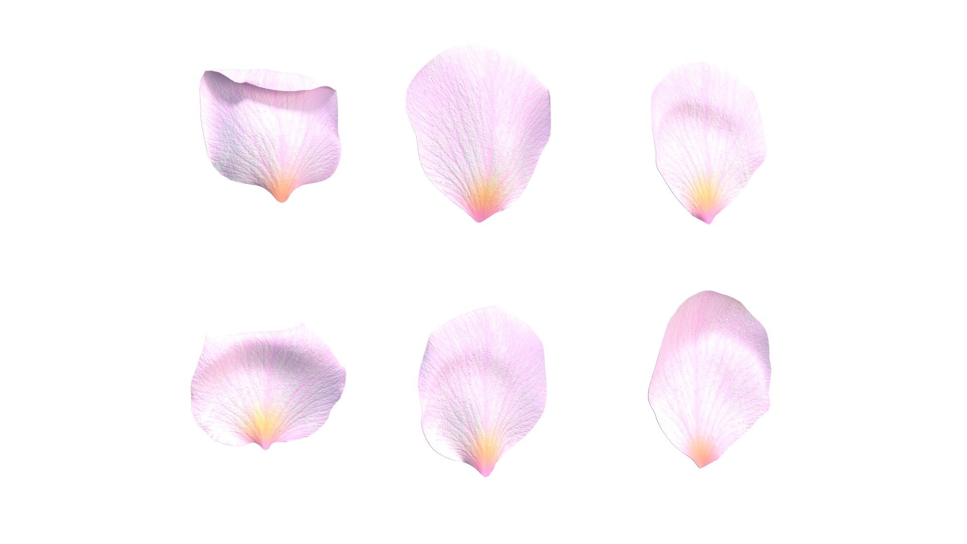 Realistic Rose and Petals 3D Models - High-Quality 4K PBR Asset 3D model https://p.turbosquid.com/ts-thumb/9s/ICcG21/Rp/6/jpg/1755628825/1920x1080/fit_q87/fc15859702d774faedb961aec2e7826df7c868de/6.jpg