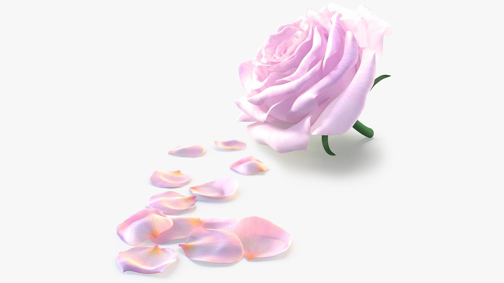 Realistic Rose and Petals 3D Models - High-Quality 4K PBR Asset 3D model https://p.turbosquid.com/ts-thumb/9s/ICcG21/jL/m_1/jpg/1755628679/1920x1080/fit_q87/e9a2ce636209bbe4765eccf093d35ac4b9854917/m_1.jpg