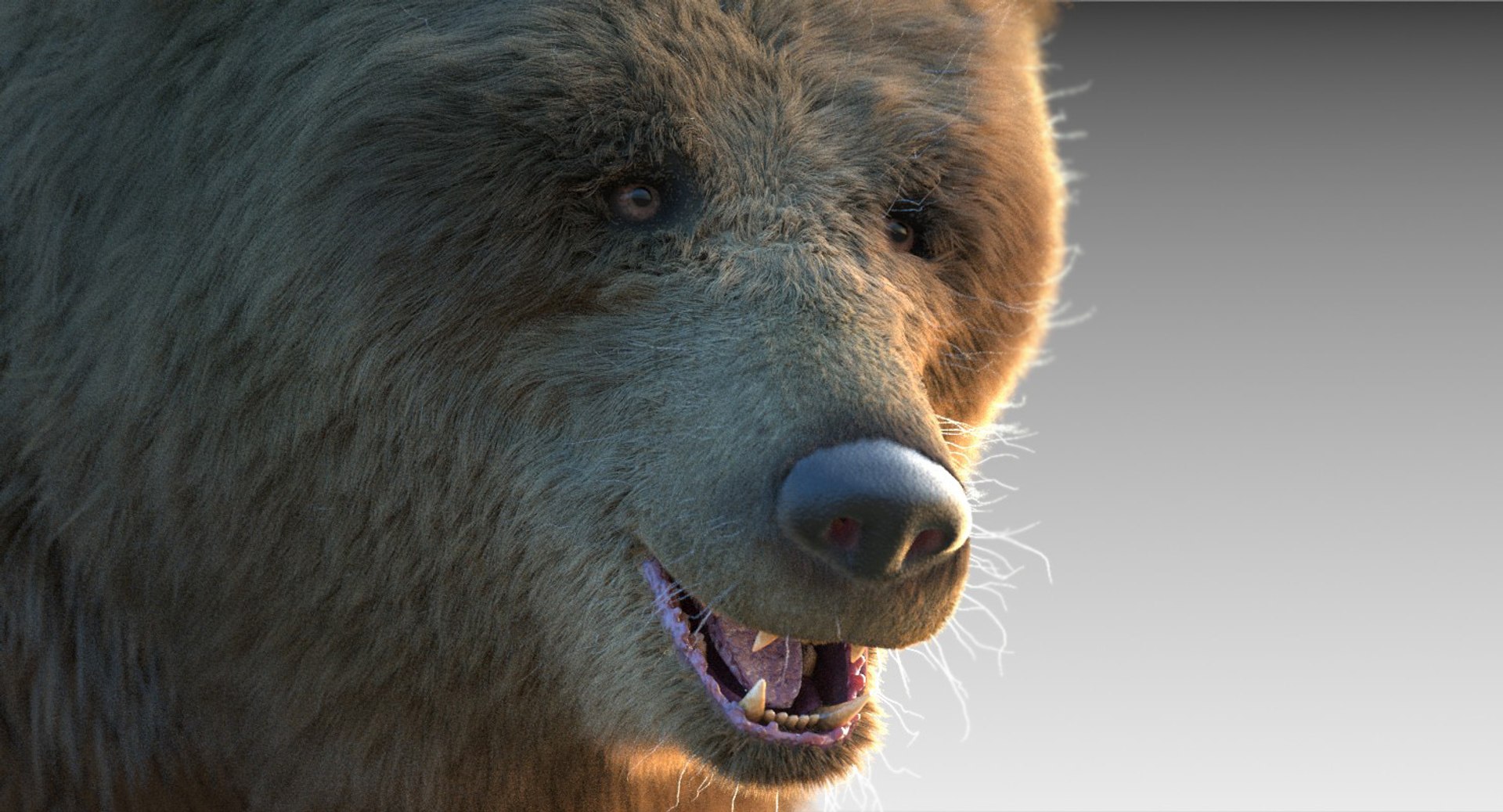 3D Grizzly Bear Fur Rig - TurboSquid 1271603