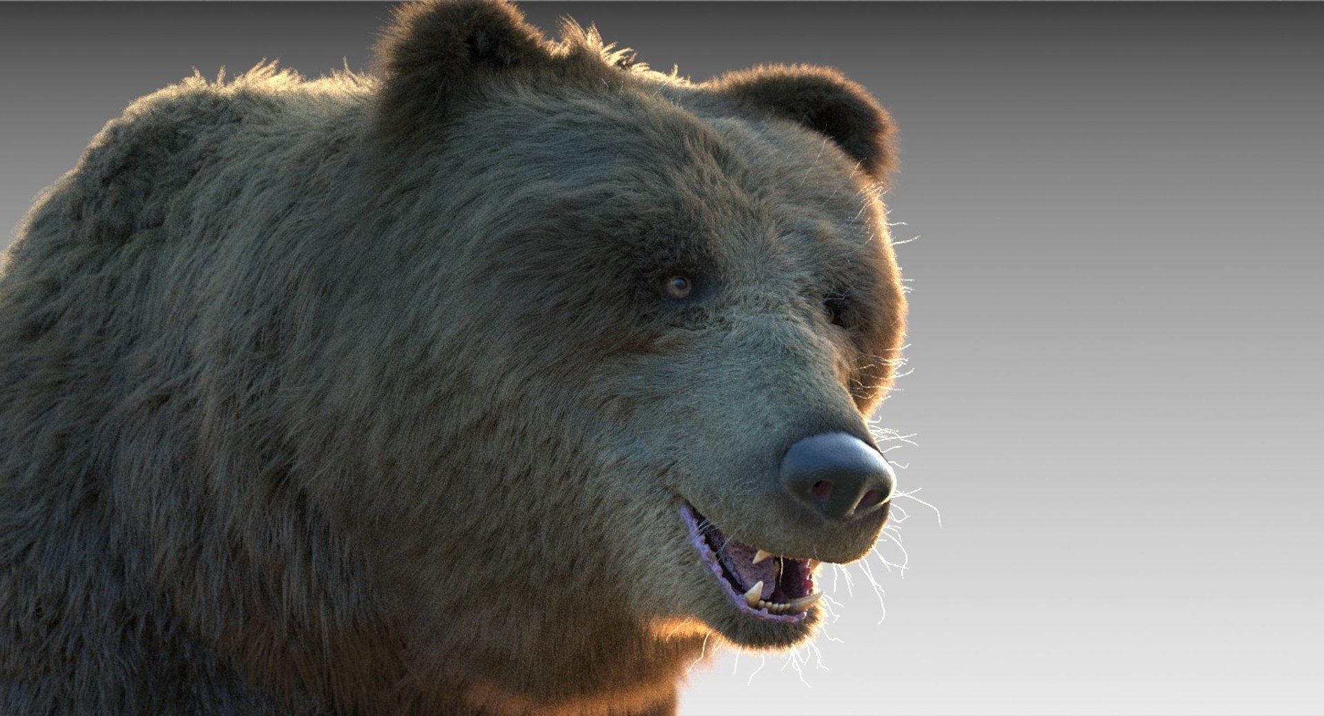 3D Grizzly Bear Fur Rig - TurboSquid 1271603