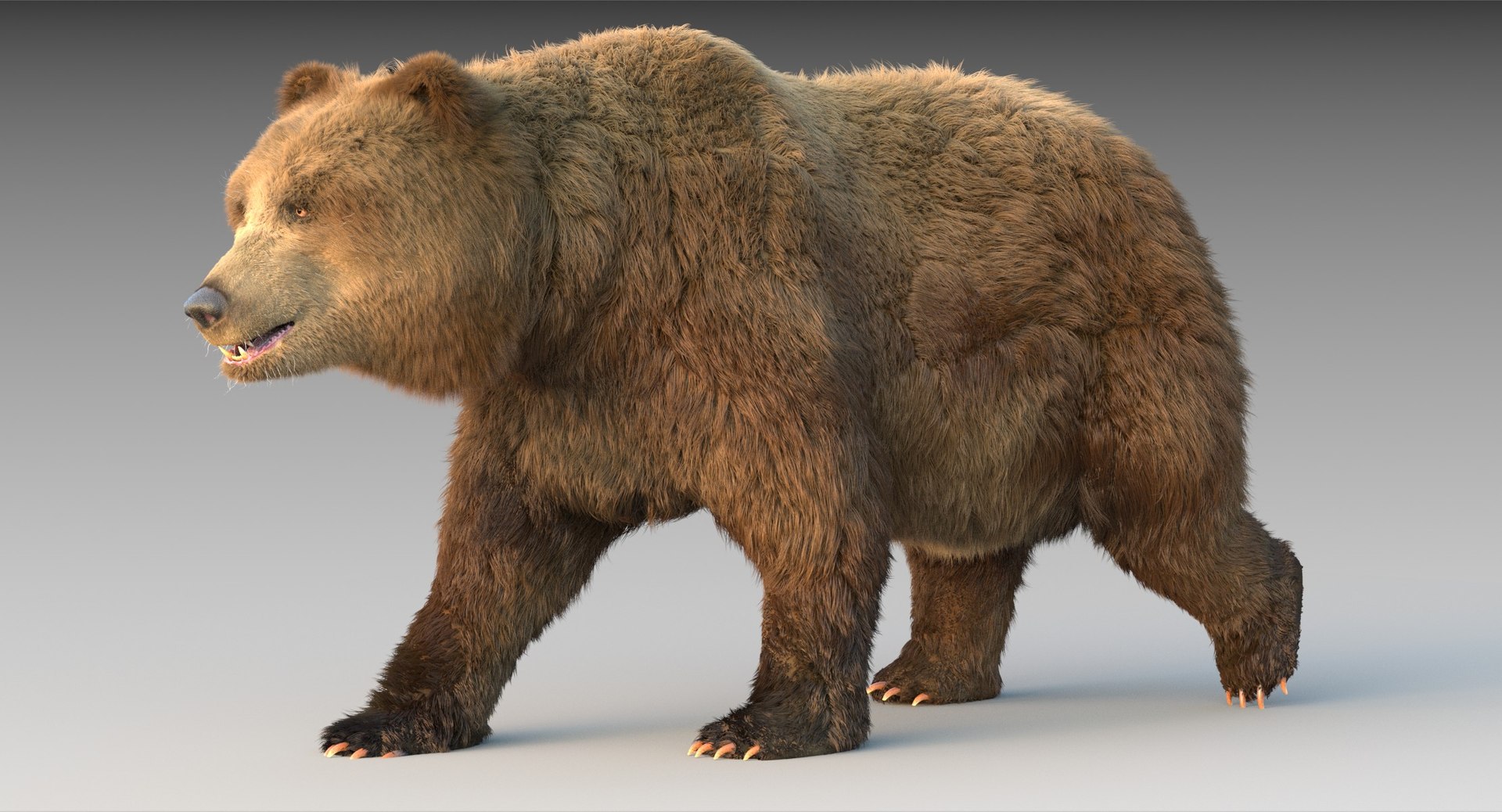 3D grizzly bear fur rig - TurboSquid 1271603