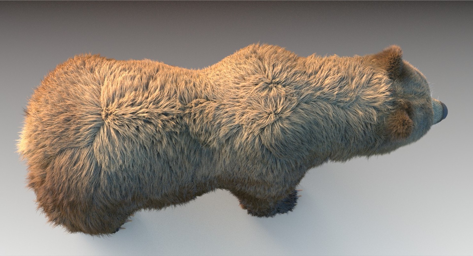 3D Grizzly Bear Fur Rig - TurboSquid 1271603