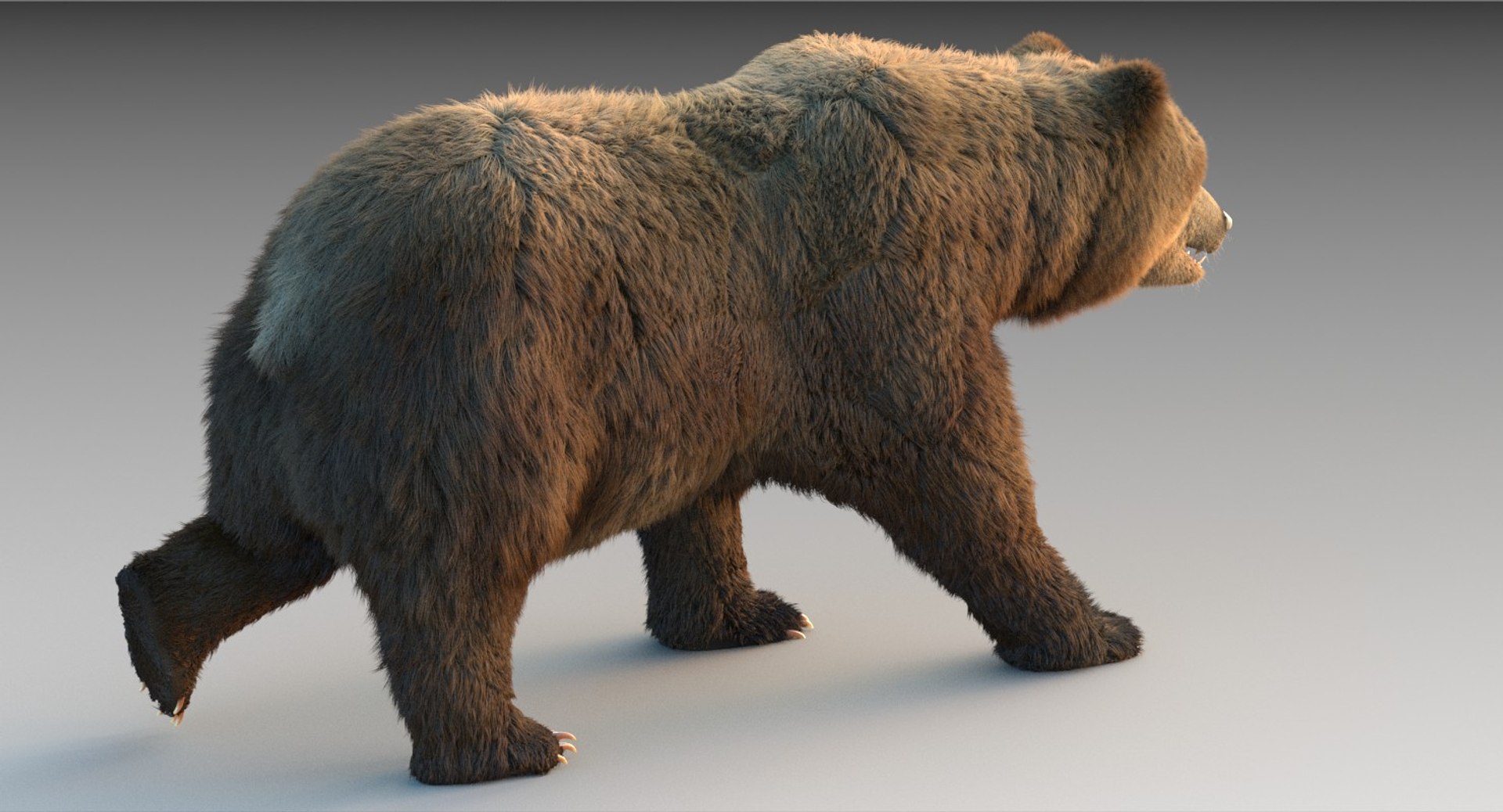 3D Grizzly Bear Fur Rig - TurboSquid 1271603