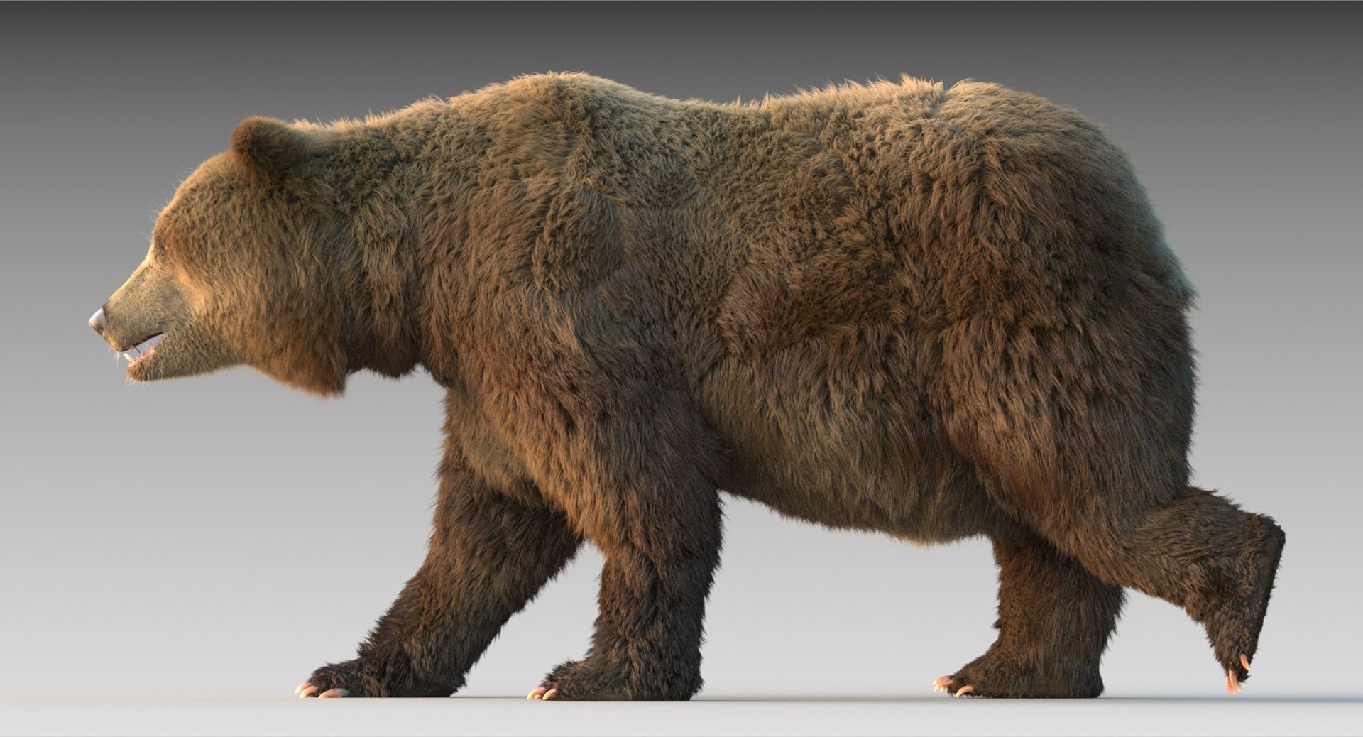 3D Grizzly Bear Fur Rig - TurboSquid 1271603
