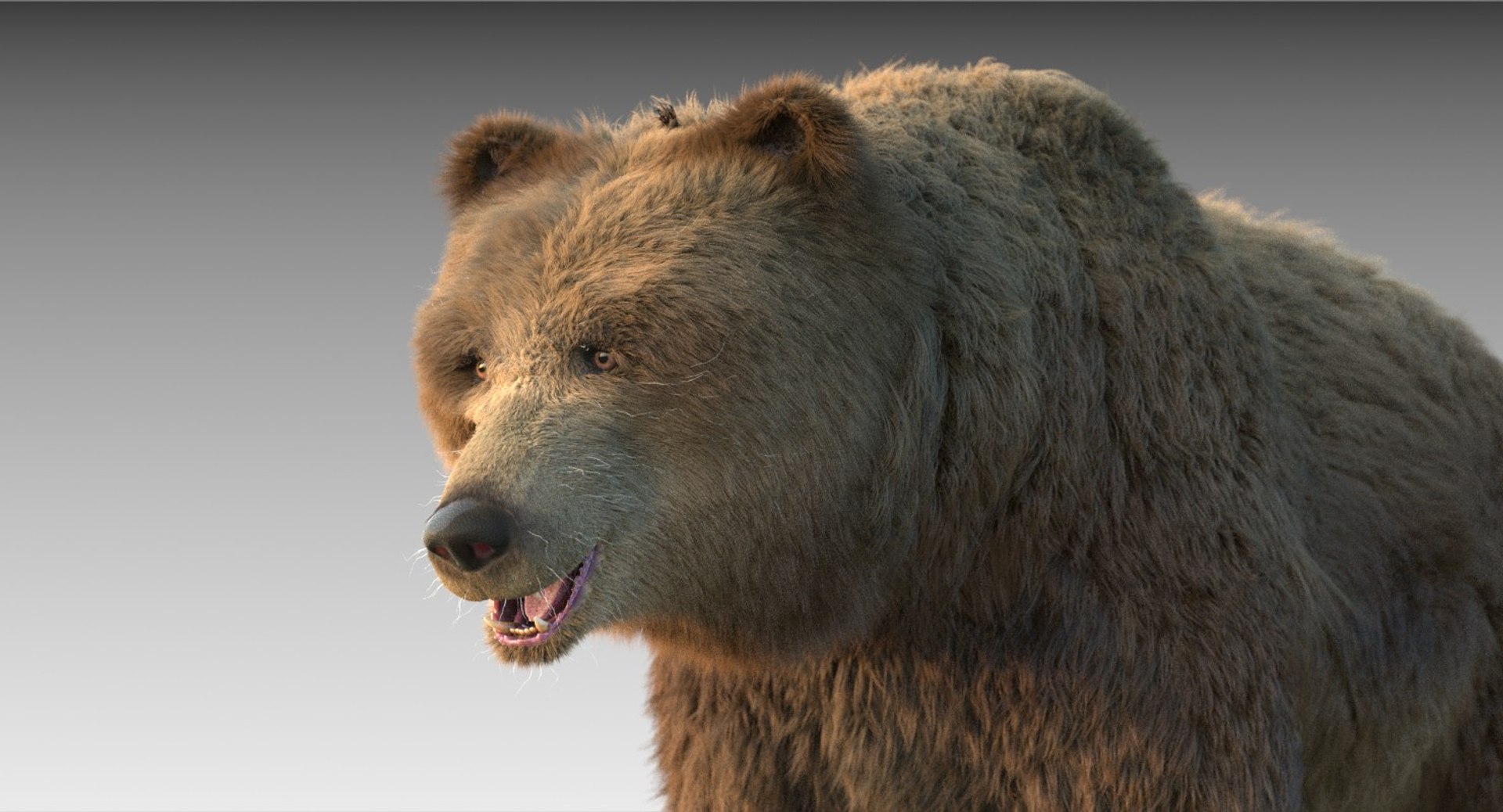3D Grizzly Bear Fur Rig - TurboSquid 1271603