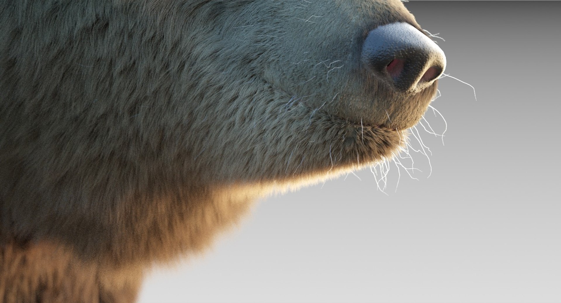 3D Grizzly Bear Fur Rig - TurboSquid 1271603