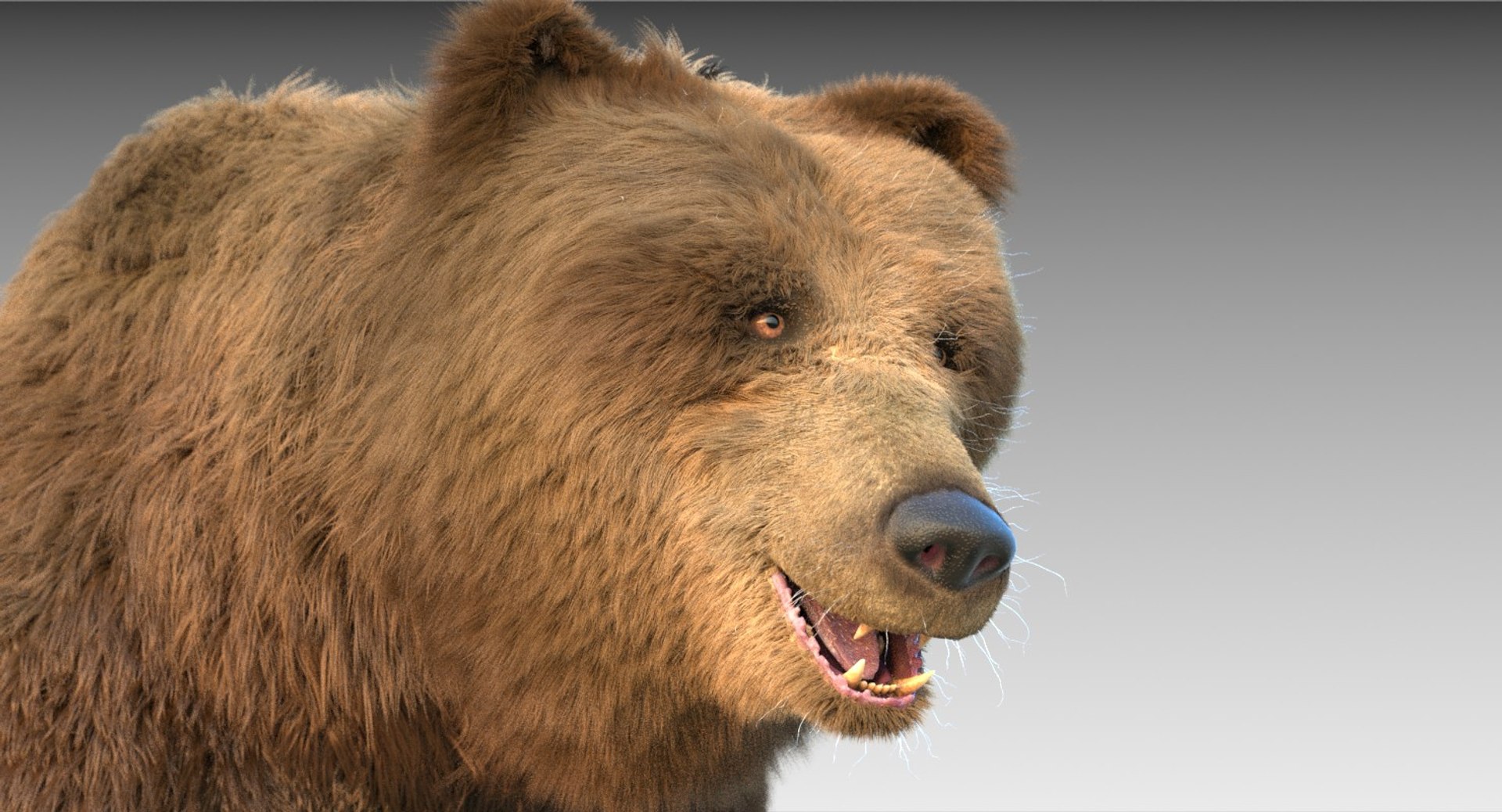 3D Grizzly Bear Fur Rig - TurboSquid 1271603