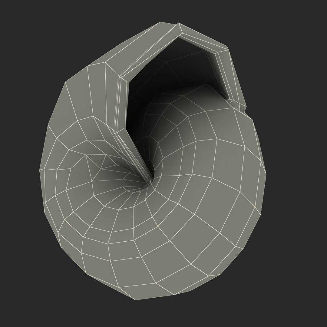 3d model snail shell https://p.turbosquid.com/ts-thumb/9s/MHxCho/2cmWNklC/snailshell3dmodel25/jpg/1447079381/1920x1080/fit_q87/53174276dab3cfea9ffcf66b014b1ecc951db7a7/snailshell3dmodel25.jpg