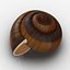 Caparazón de caracol