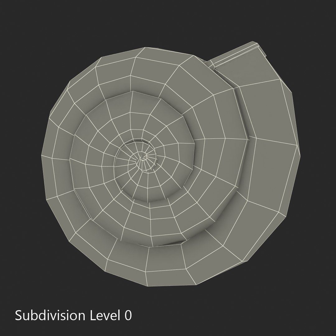 3d model snail shell https://p.turbosquid.com/ts-thumb/9s/MHxCho/KkTyysfb/snailshell3dmodel15/jpg/1447079380/1920x1080/fit_q87/f881736318b7eaf472dbf3012cb30802a0aa6682/snailshell3dmodel15.jpg