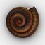 Caparazón de caracol