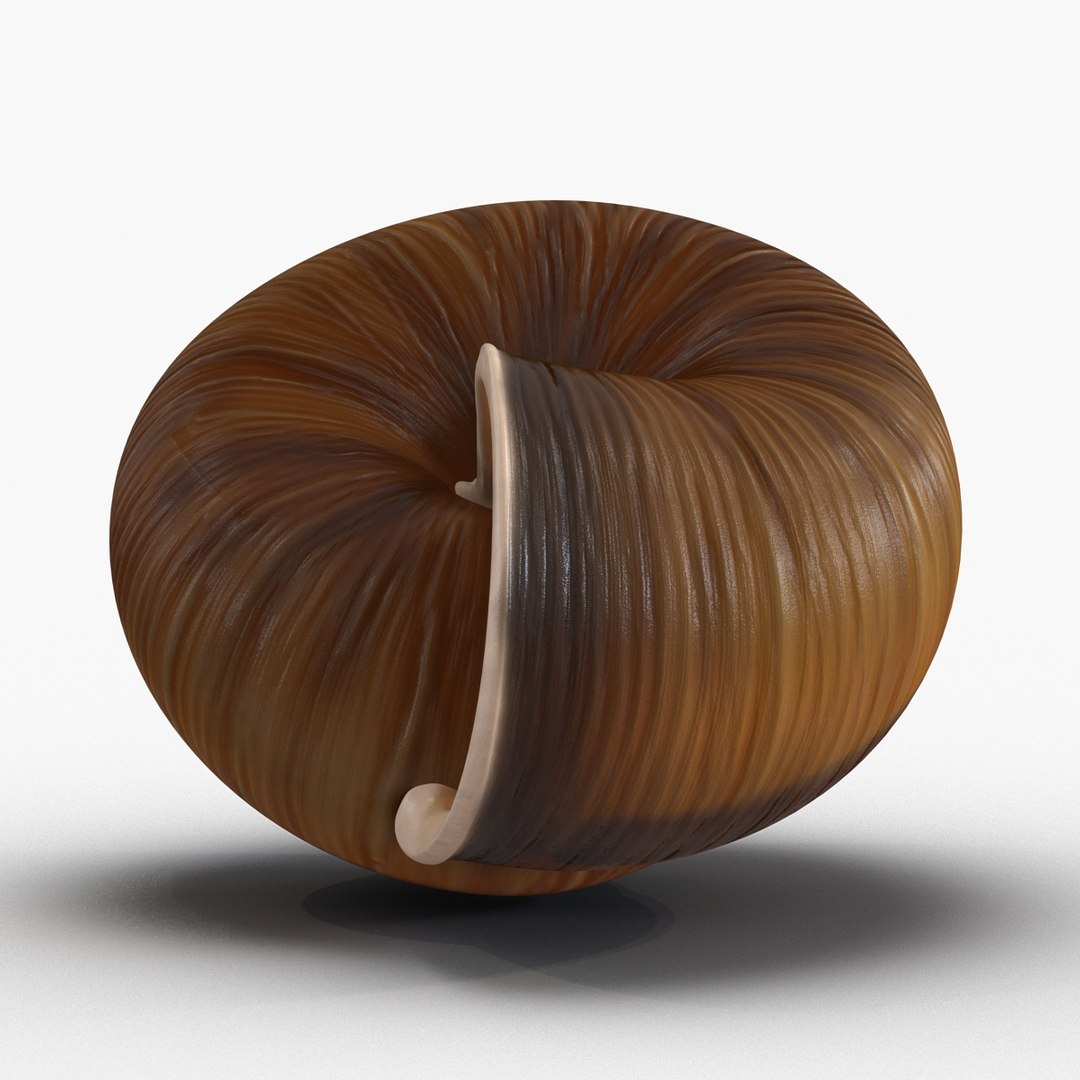 3d model snail shell https://p.turbosquid.com/ts-thumb/9s/MHxCho/idCLt3dv/snailshell3dmodel09/jpg/1447079380/1920x1080/fit_q87/38c6f39dbe769f2e031166f562c2ca256cef52a0/snailshell3dmodel09.jpg