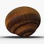 Caparazón de caracol