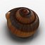 Caparazón de caracol