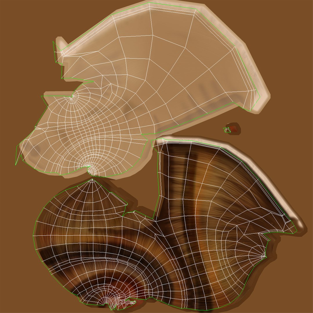 3d model snail shell https://p.turbosquid.com/ts-thumb/9s/MHxCho/zRuok4gk/snailshell3dmodel17/jpg/1447079380/1920x1080/fit_q87/80784d3fb23d4630bcadd5c1eae4ca6d71366709/snailshell3dmodel17.jpg