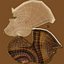 Caparazón de caracol