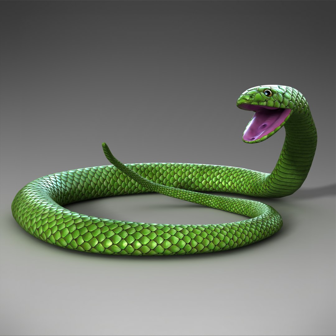 Snake Rigged 3d Model