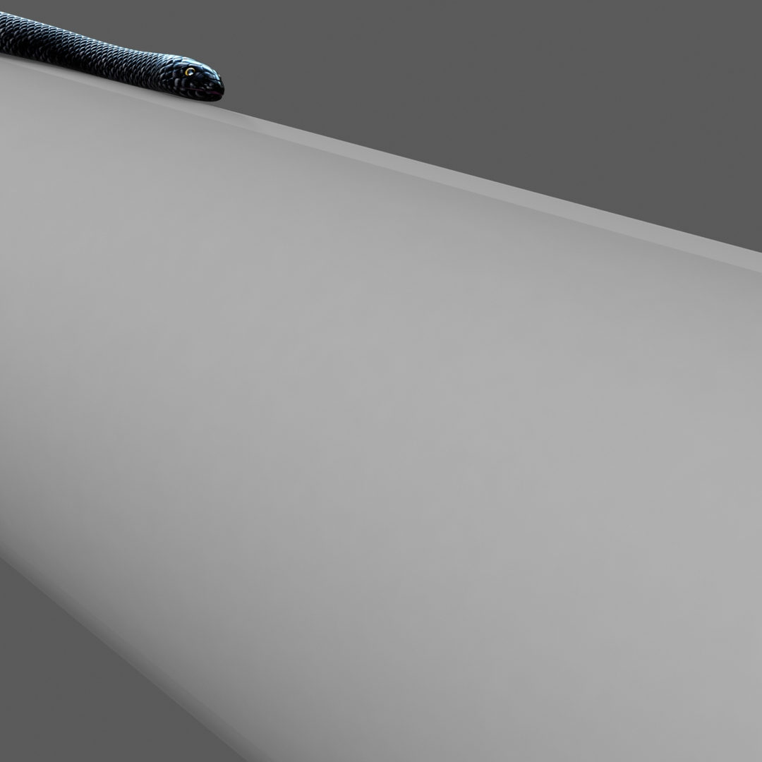 Snake Rigged 3d Model