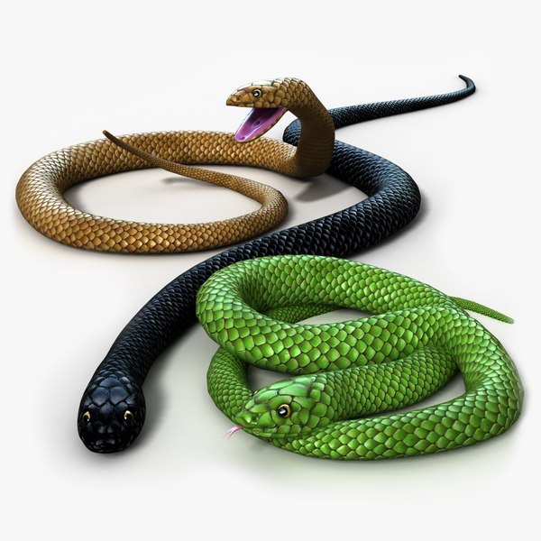 snake rigged 3d model