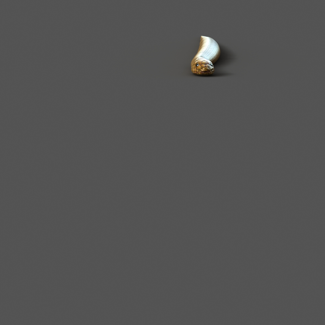 Snake Rigged 3d Model
