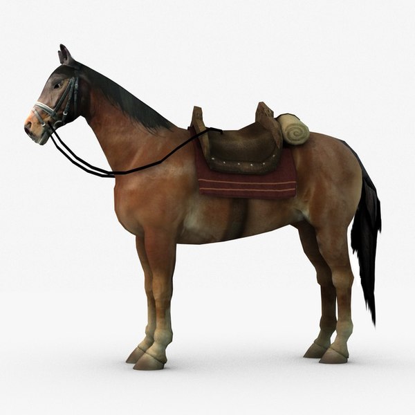 Cavalo com sela Modelo 3D - TurboSquid 670442