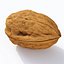 Walnut 4