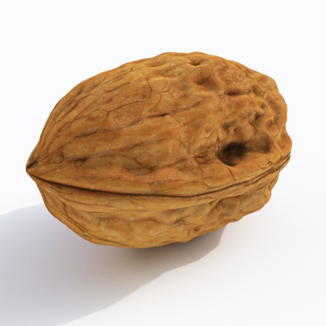 nut walnut 3D https://p.turbosquid.com/ts-thumb/9s/Tzn37b/G7BZXpHq/walnut4_th04/jpg/1575946480/1920x1080/fit_q87/2e43e83b5cbff4335c8afaa8b6c1739f0f59dbbd/walnut4_th04.jpg