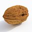 Walnut 4