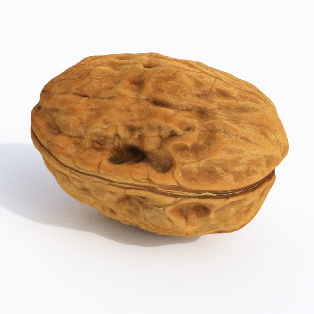 nut walnut 3D https://p.turbosquid.com/ts-thumb/9s/Tzn37b/jIMzHWoG/walnut4_th05/jpg/1575946480/1920x1080/fit_q87/7429f4c26266b250daf2d3beaa82fcb58818f547/walnut4_th05.jpg