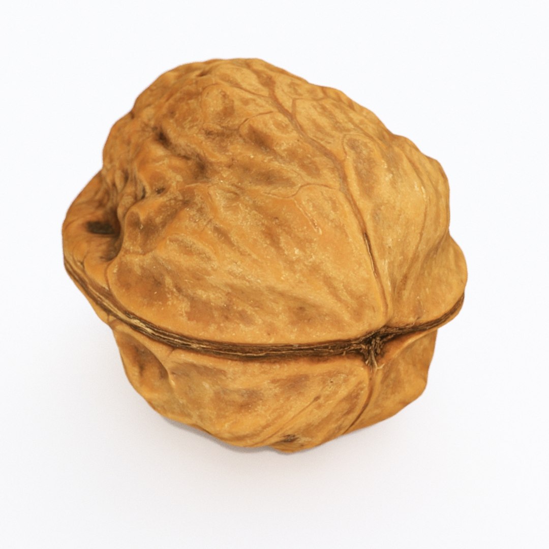 nut walnut 3D https://p.turbosquid.com/ts-thumb/9s/Tzn37b/pSZpEHpn/walnut4_th06/jpg/1575946480/1920x1080/fit_q87/ff0a4cd2e2b65d9d2aa982f53f11c064da166973/walnut4_th06.jpg