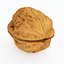 Walnut 4