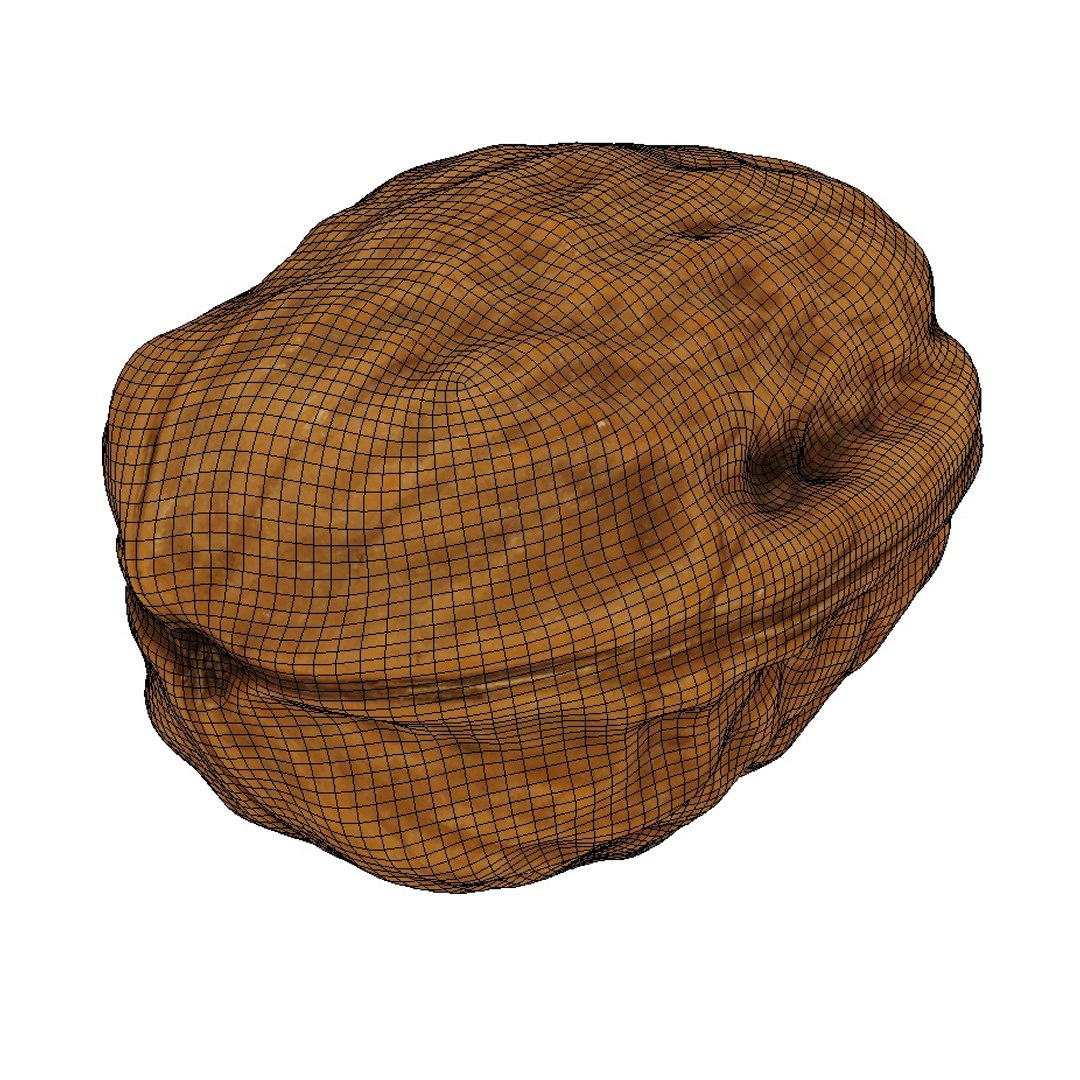 nut walnut 3D https://p.turbosquid.com/ts-thumb/9s/Tzn37b/t5qQaE4h/walnut4w/jpg/1575946513/1920x1080/fit_q87/d8c01661fefcdd515511ddc09954ef7e0a165a45/walnut4w.jpg