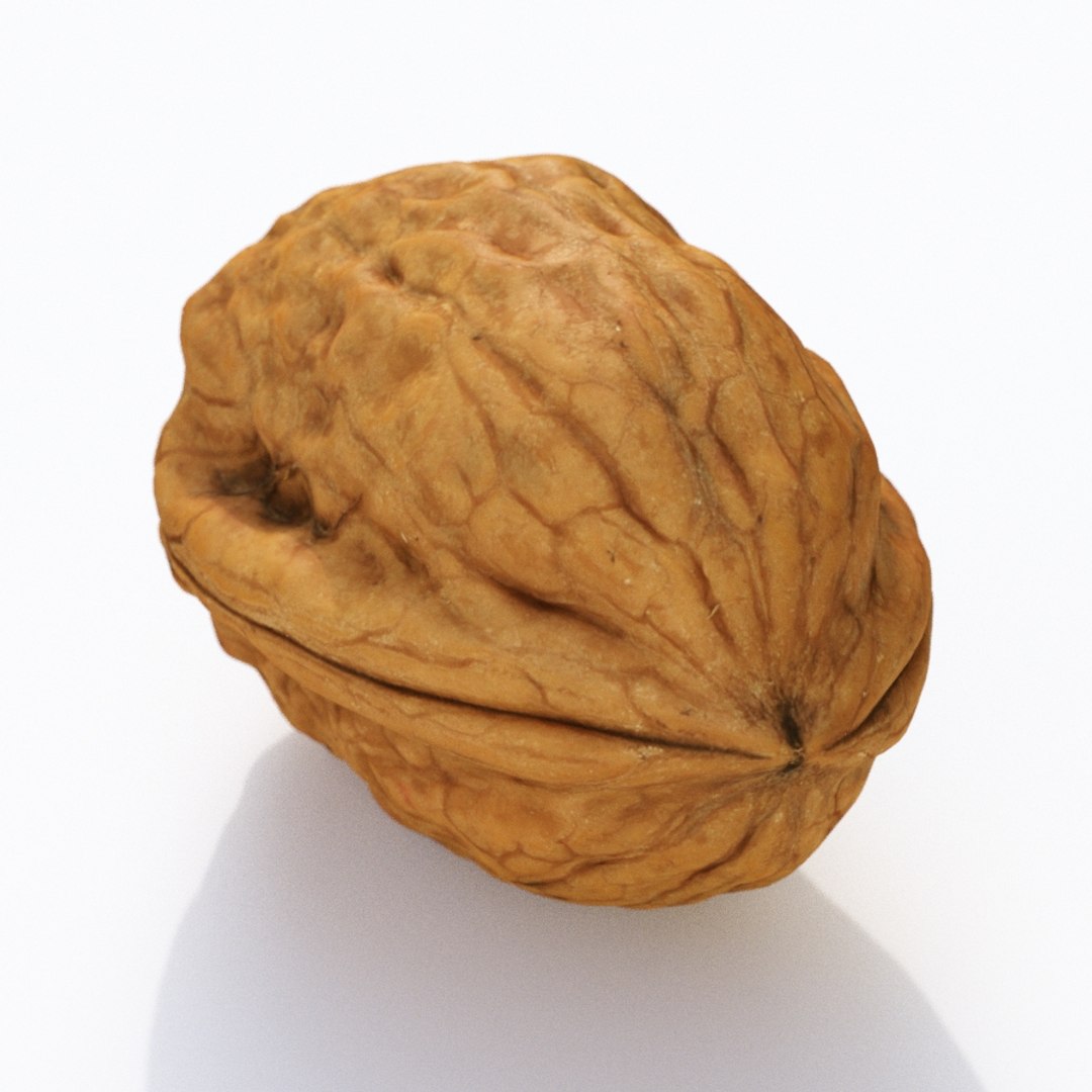nut walnut 3D https://p.turbosquid.com/ts-thumb/9s/Tzn37b/ztDVvT6G/walnut4_th03/jpg/1575946480/1920x1080/fit_q87/8e785f895a0212d5d85272b77208913d464c53b9/walnut4_th03.jpg
