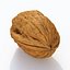 Walnut 4