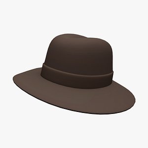Dark Brown Fedora Hat