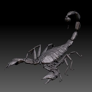 scorpion 3D model