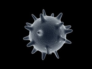 3d electron cell microscopic model