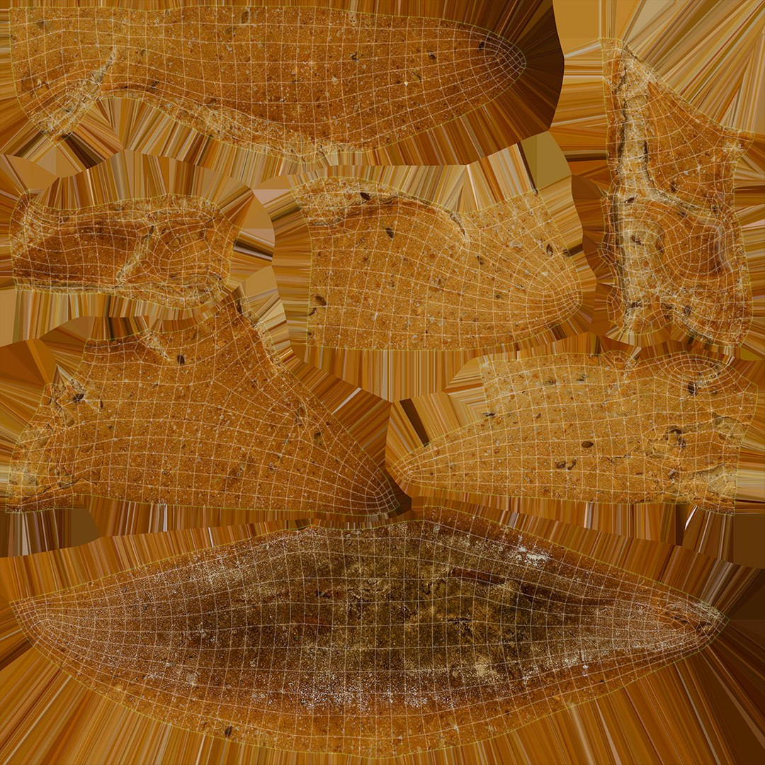 3D Bread and Roll Collection https://p.turbosquid.com/ts-thumb/9t/2bwgRa/xB/multigrainbread_f0004/jpg/1630340784/1920x1080/fit_q87/4afe13fe3c1054a0dbcb8a92f48b6074707f79d6/multigrainbread_f0004.jpg