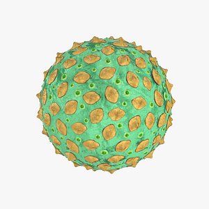 3D hantavirus hanta virus model